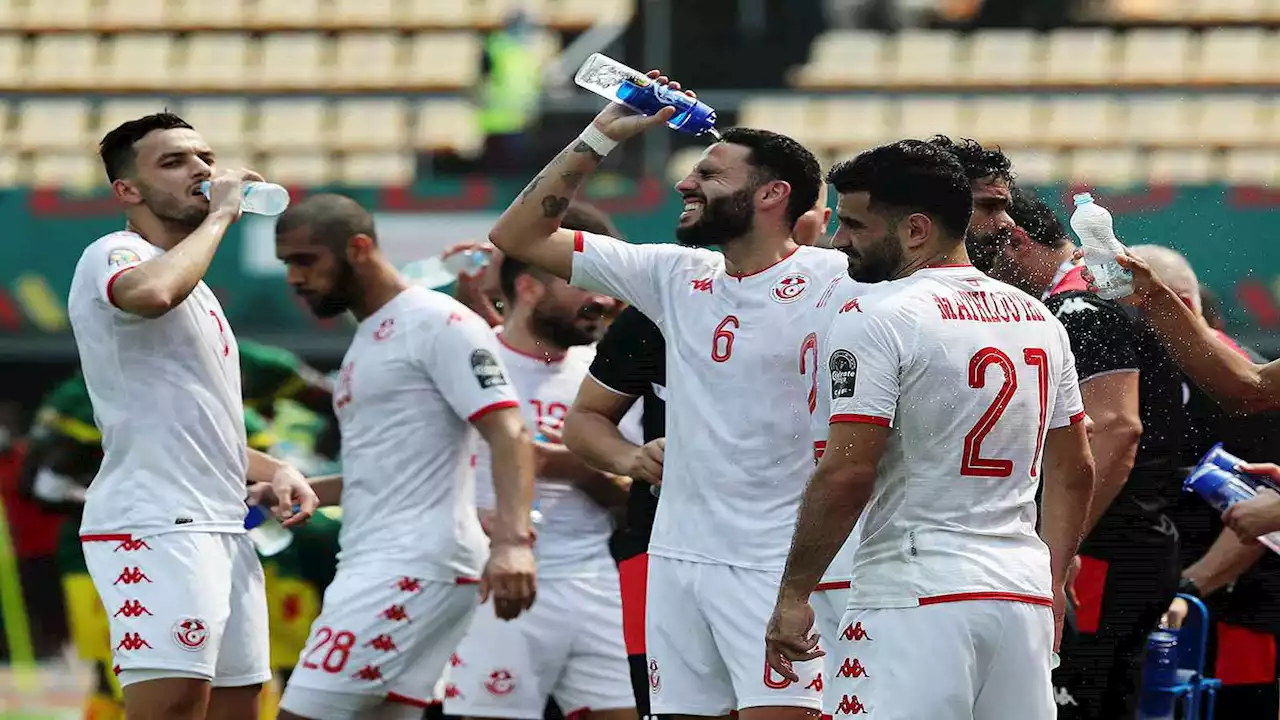 طائرات تؤمن تدريبات منتخب تونس في الكاميرون بعد تهديدات إرهابية.. (فيديو)
