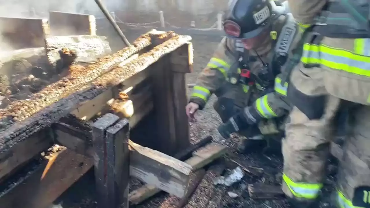 Crews rescue lucky dog from Kearns house fire