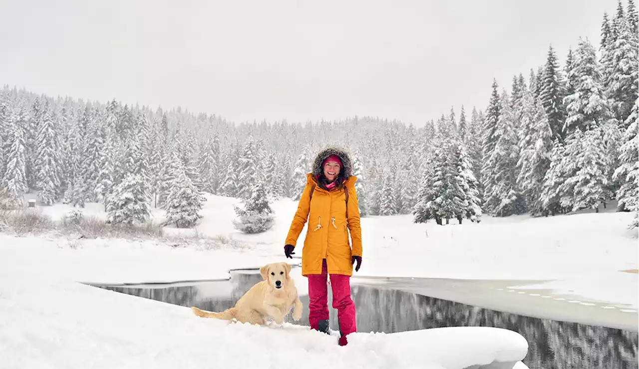 15 Best Parkas for Women This Winter in 2022 | Well+Good