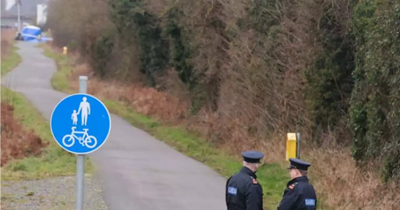 Murphy family requests 'privacy, space and time' to process Ashling's death | JOE.ie