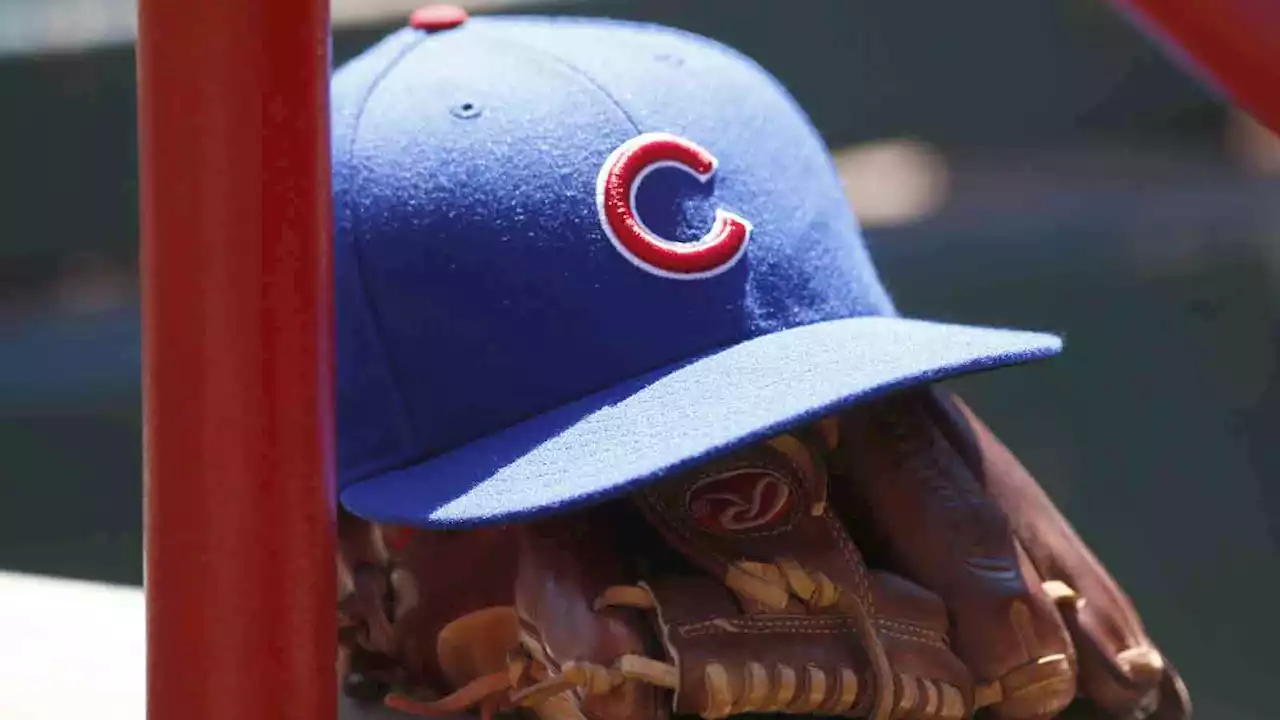 Cubs Sign Alexis Hernandez, Brother of Top Prospect Cristian