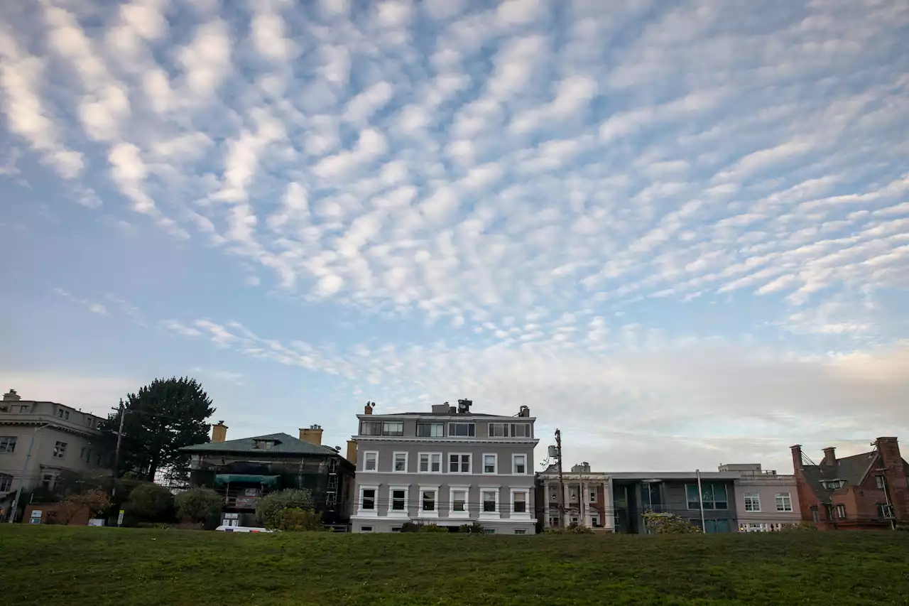 When will it rain again in the San Francisco Bay Area?