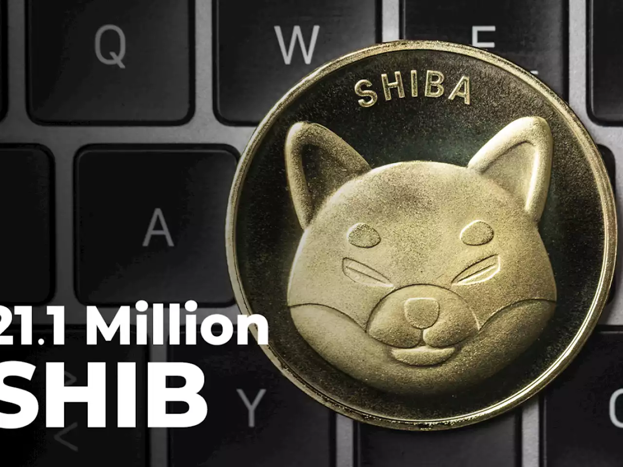 21.1 Million SHIB Burned in Past 24 Hours, While New SHIB Burn Site Kicks Off