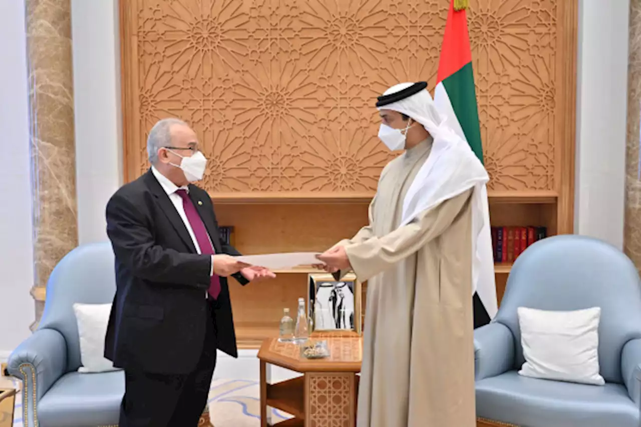 تسلمها منصور بن زايد.. رئيس الدولة يتلقى رسالة خطية من الرئيس الجزائري