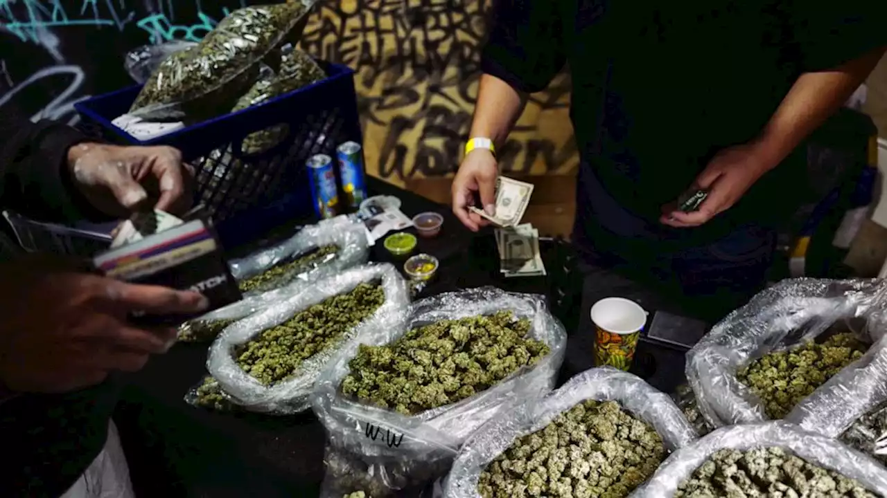 In California pot market, a hazy line between legal and not