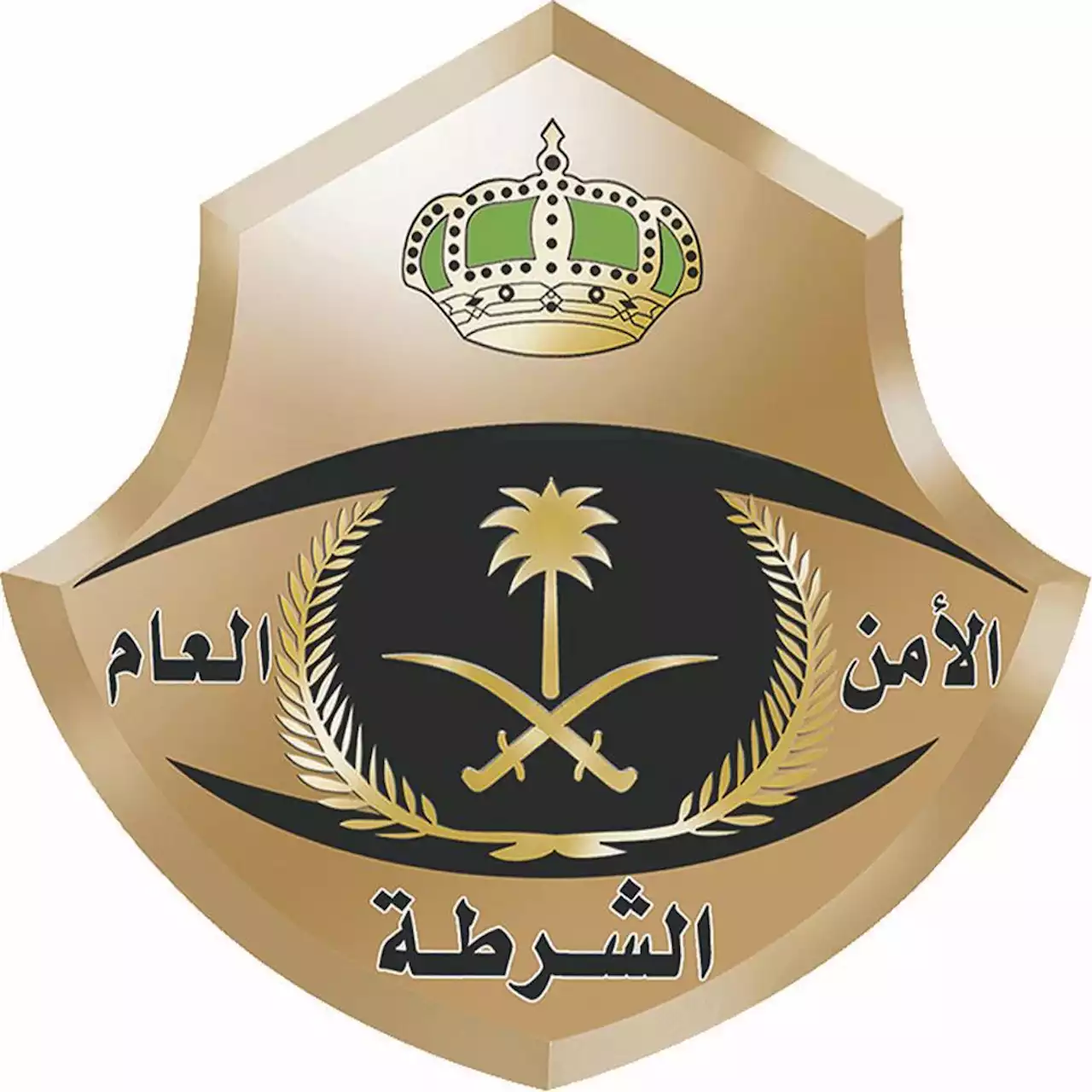 ضبط مواطن نقل 10 يمنيين خالفوا نظام أمن الحدود | صحيفة المواطن الإلكترونية