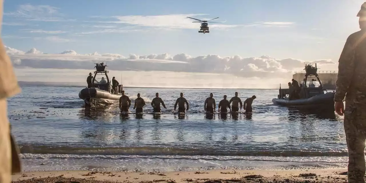 Meet the Danish Frogmen who took down a boat full of pirates off West Africa