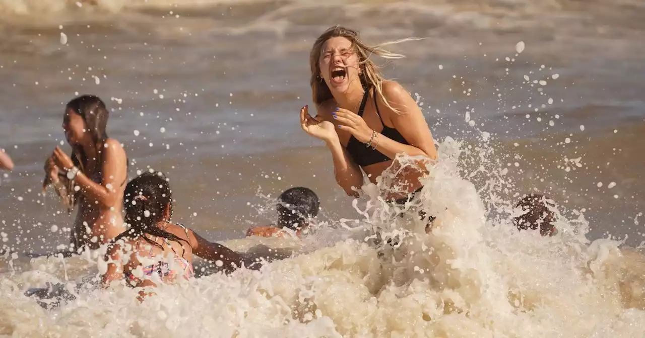 Todas las fotos del verano en Mar del Plata, Pinamar y Punta del Este