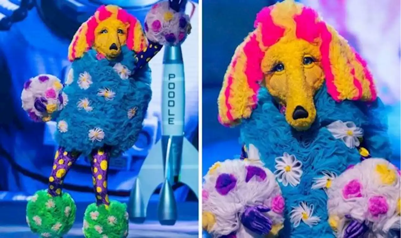 The Masked Singer: Poodle ’exposed' after ‘expressive gesture’ gives identity away?