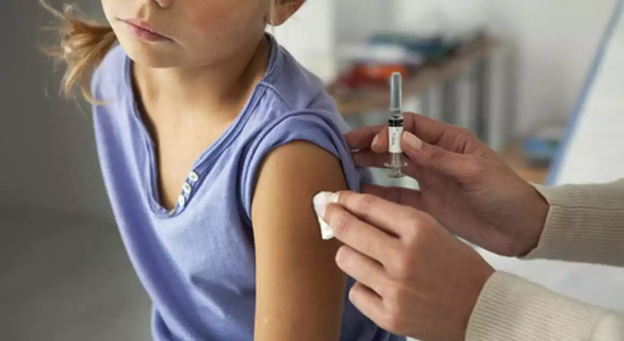 Omicron e bambini, quest'anno arriveranno i 'rinforzi' dei vaccini pediatrici: ecco quali