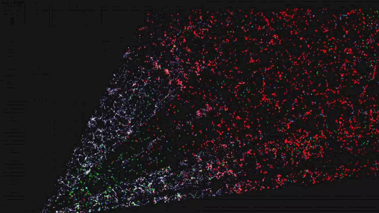 Astronomers Create Largest Ever 3D Map of the Cosmos