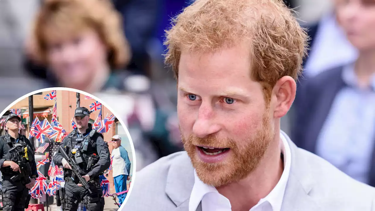 Prince Harry files claim after Govt reject his offer to pay for UK police protection