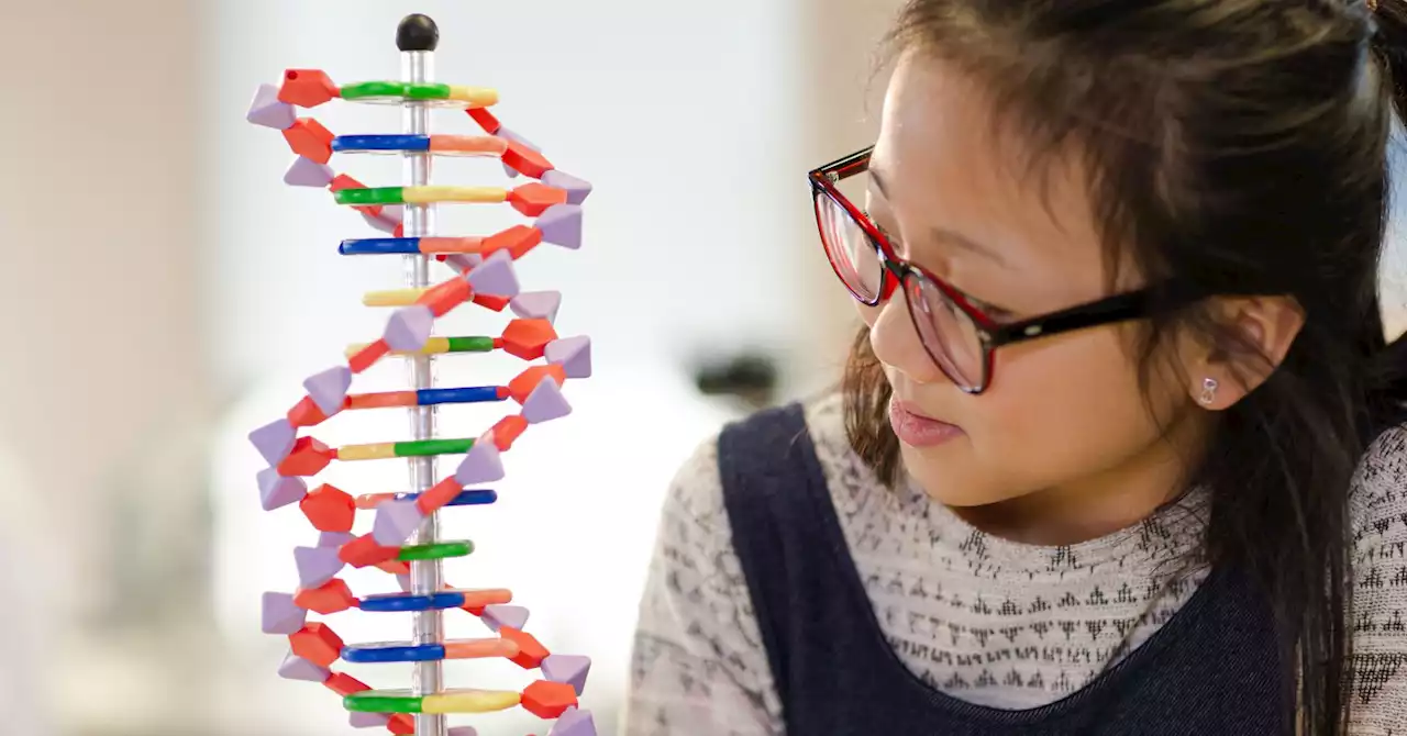 5 Ways Children’s Genes Shape their Behavior