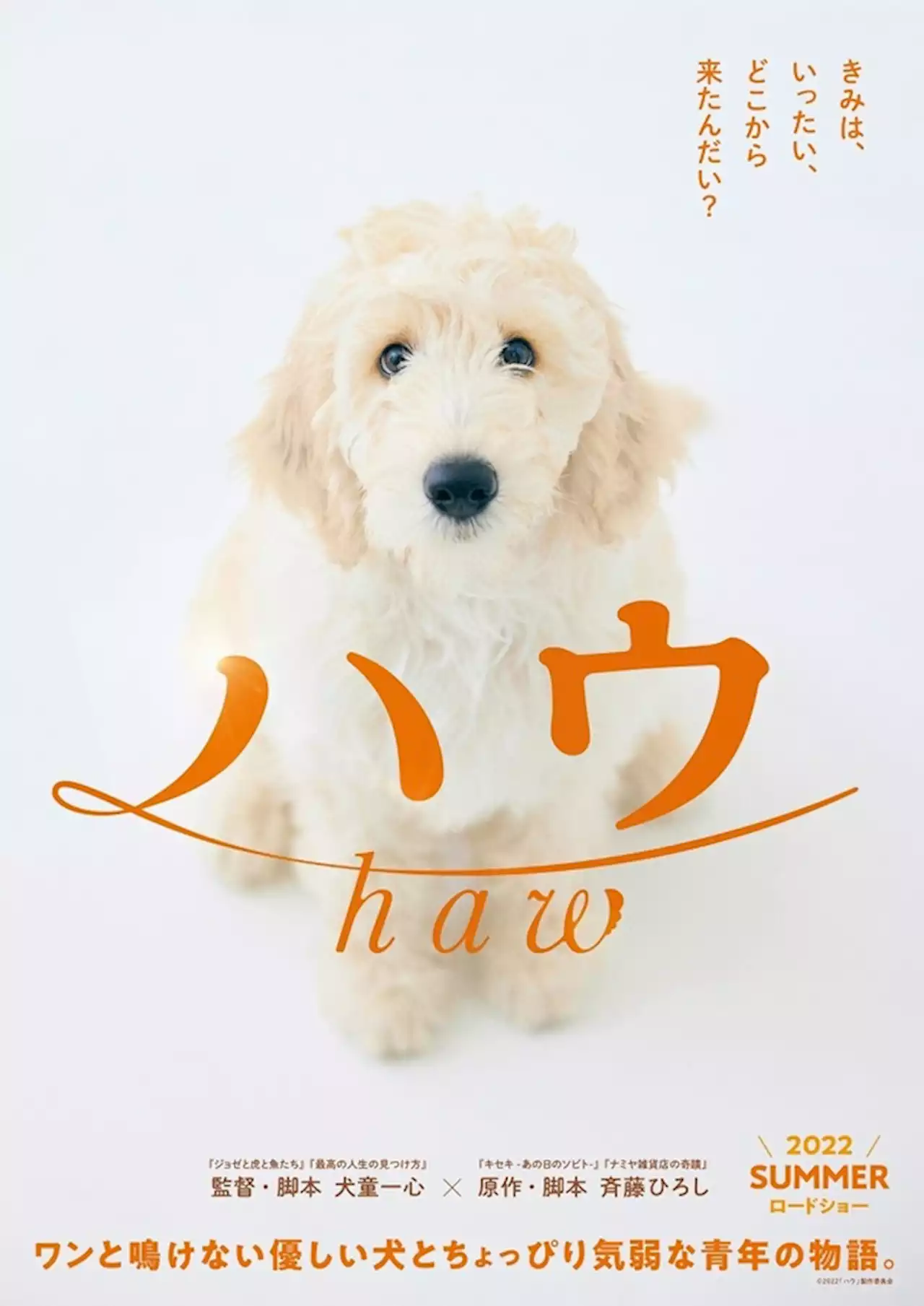 犬と人の絆を描いた物語『ハウ』…小説は2月刊行、映画は犬童一心監督で今夏公開 | 動物のリアルを伝えるWebメディア「REANIMAL」