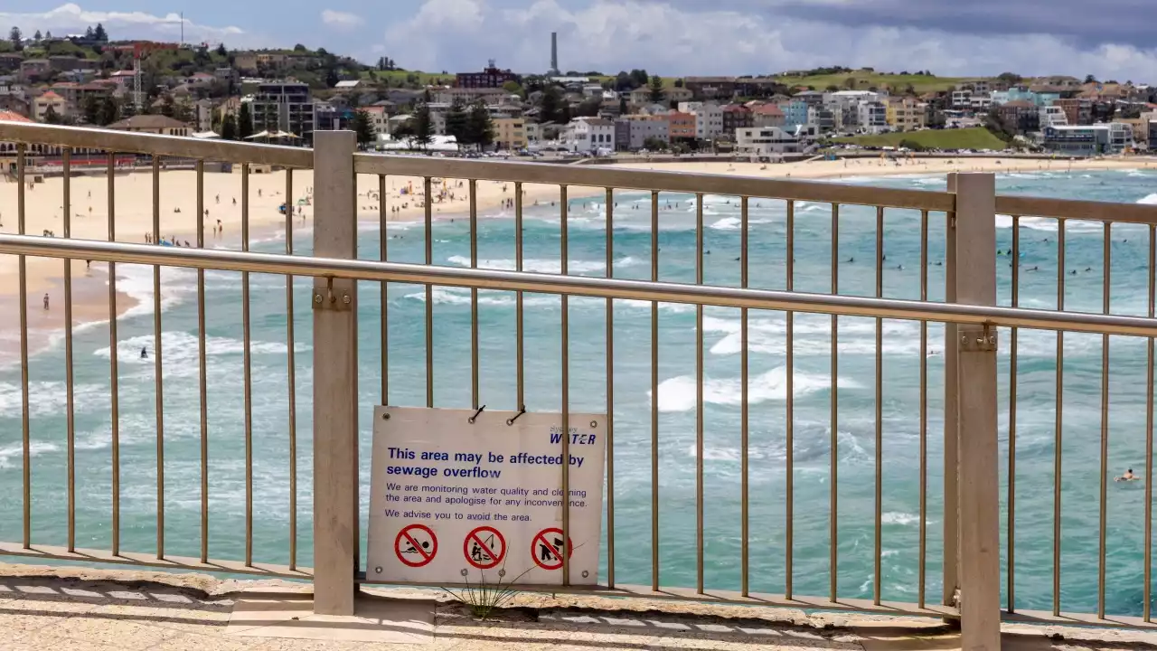 Bondi Beach evacuated following tsunami warning | Tsunami - Brisbane ...