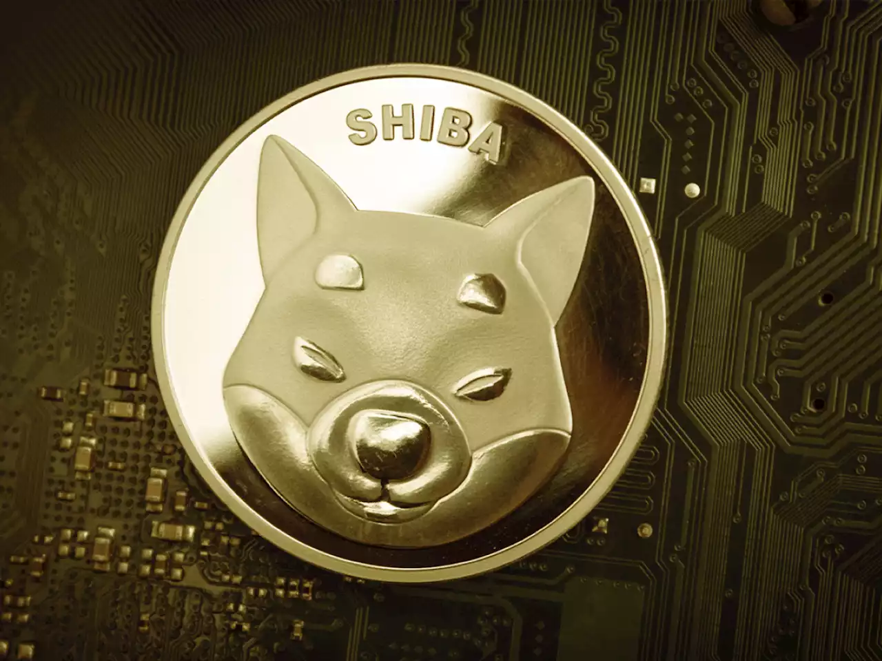 Shiba Inu Becomes One of Most-Purchased Tokens by Ethereum Whales, as On-Chain Data Reports