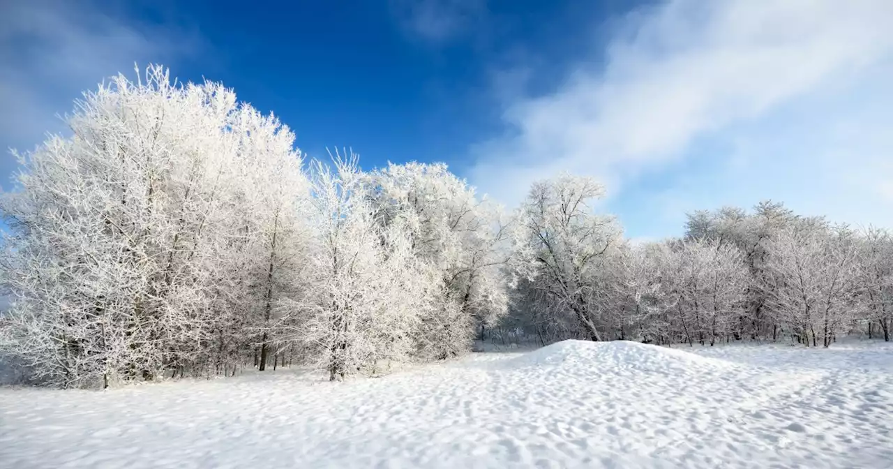 A Winter Storm is coming: Here's what you need to know