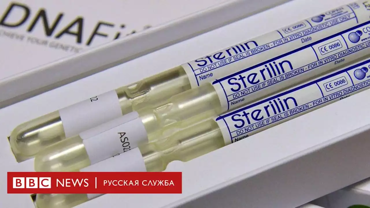 Израильский сервис генеалогических исследований оштрафовали за нарушение российского закона - BBC News Русская служба