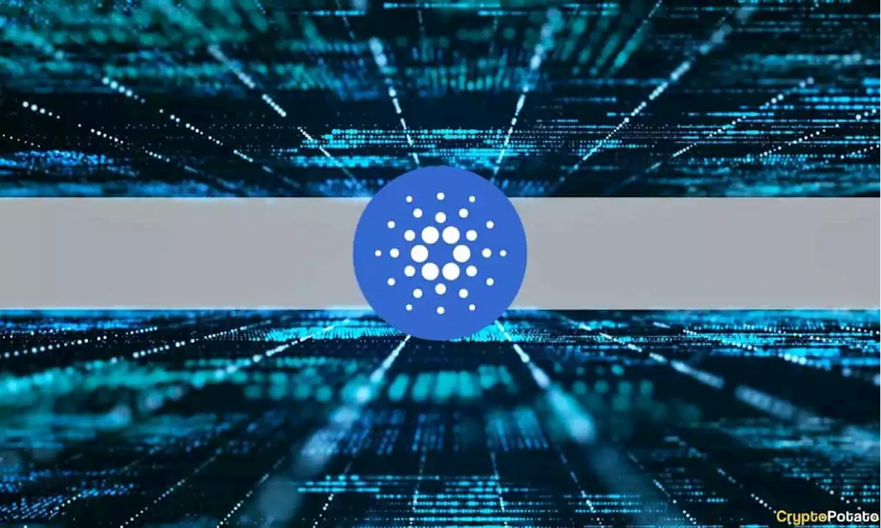 Metaverse Project Pavia Debuts on the Cardano Blockchain