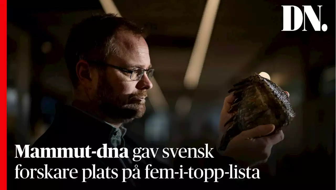 Mammut-dna gav svensk forskare plats på fem-i-topp-lista