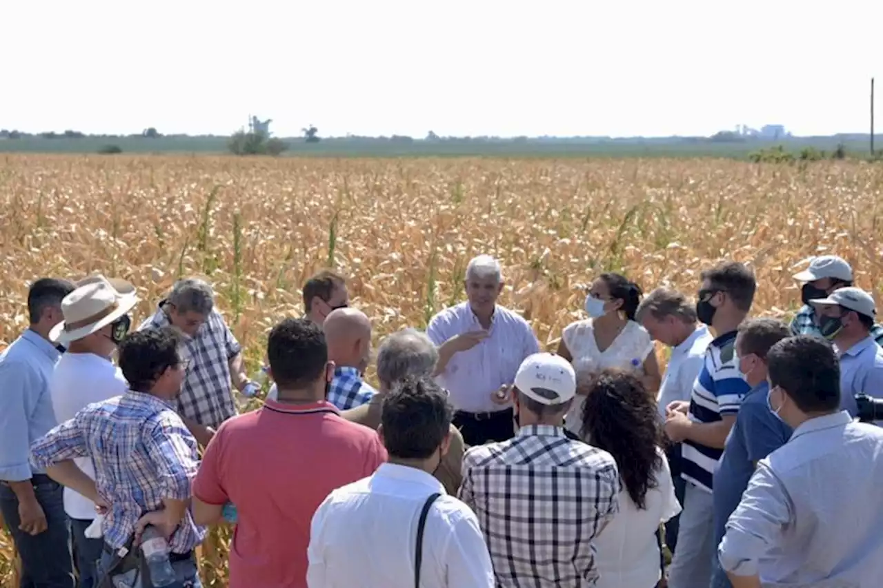 El Gobierno evalúa aumentar los fondos por emergencia agropecuaria