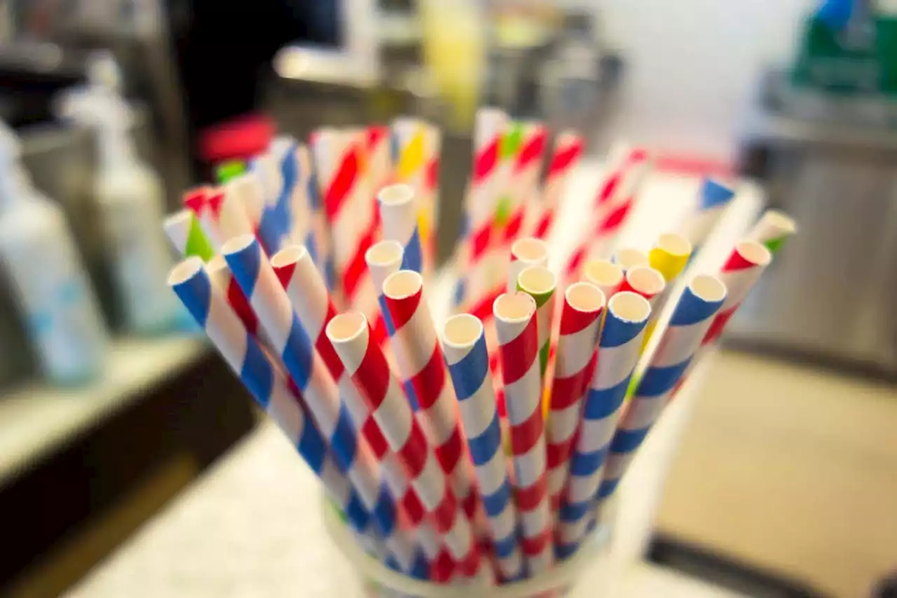 Edible straws made by bacteria are better than paper or plastic ones