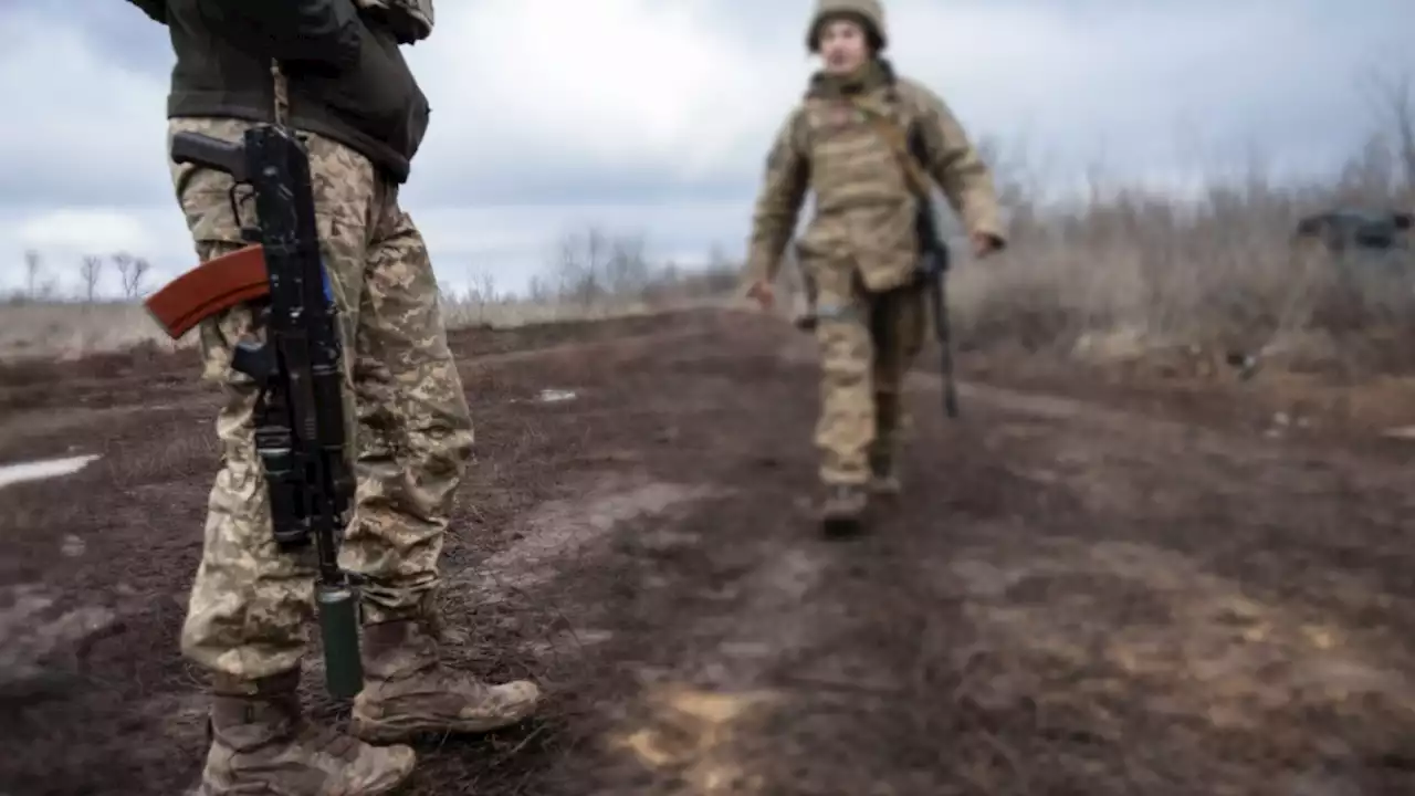 Vor Baerbock-Besuch: Ukraine fordert deutsche Waffenlieferungen