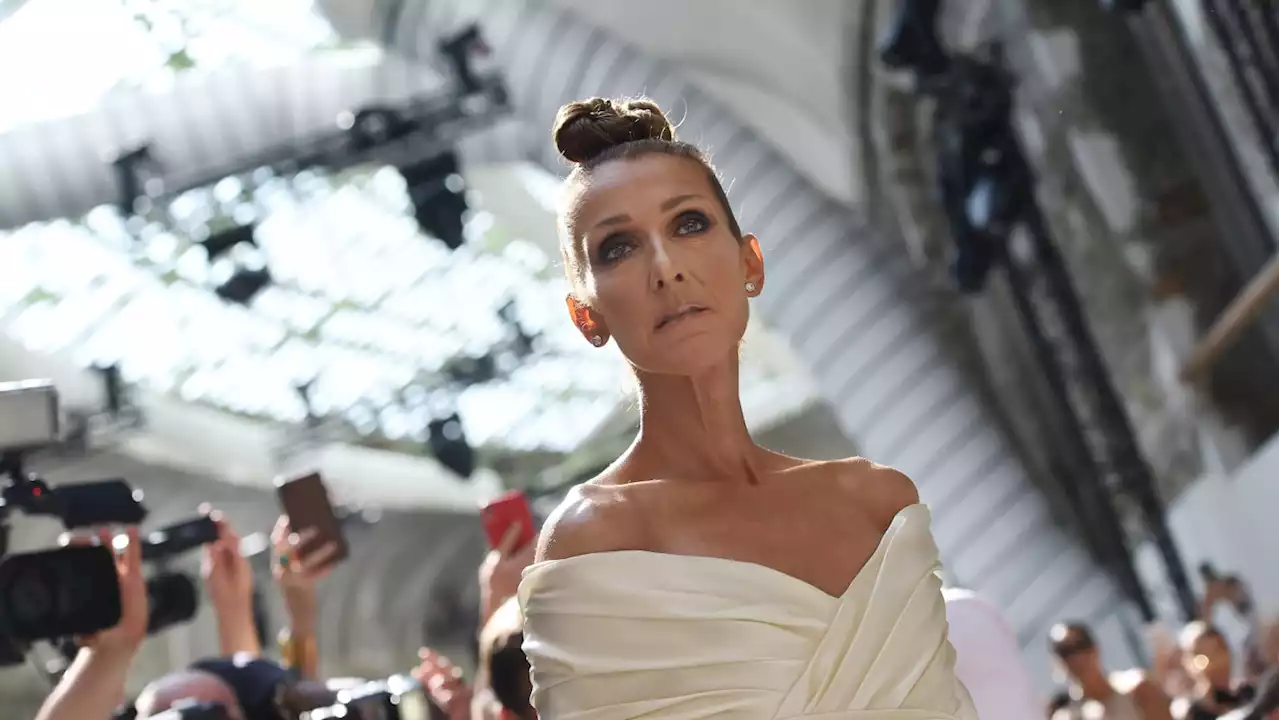 Celine Dion Says Muscle Spasms Forced Her to Cancel Tour