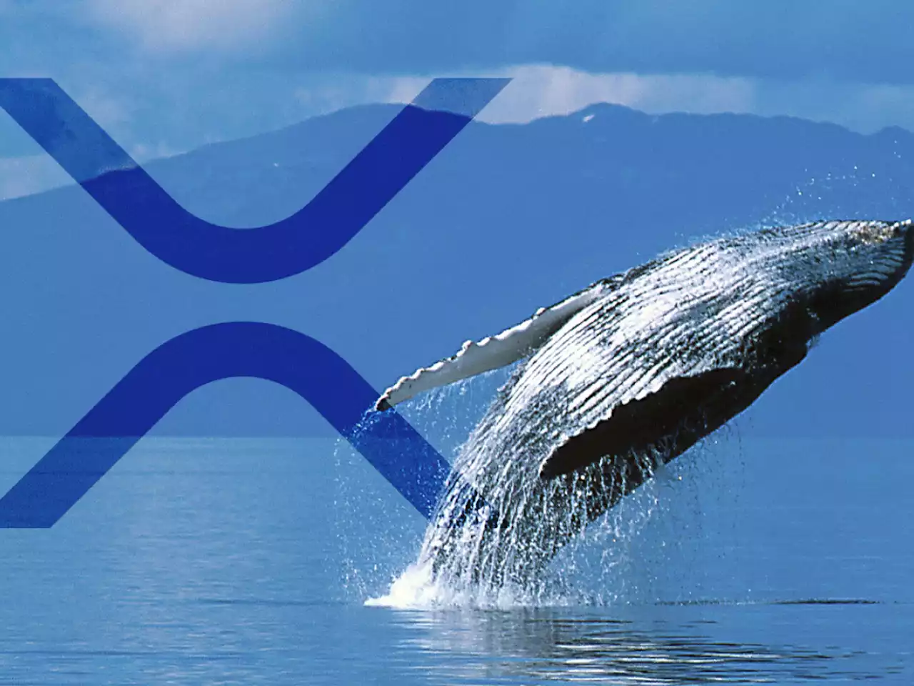 $40 Million Worth of XRP Withdrawn by This Whale from Binance, Here Are Potential Reasons