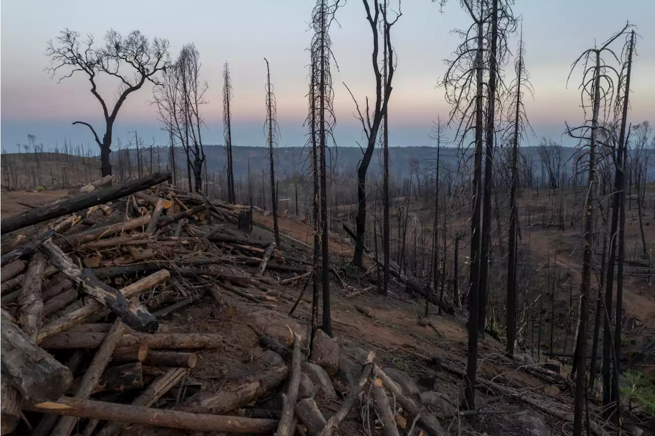 A Vivid View of Extreme Weather: Temperature Records in the U.S. in 2021