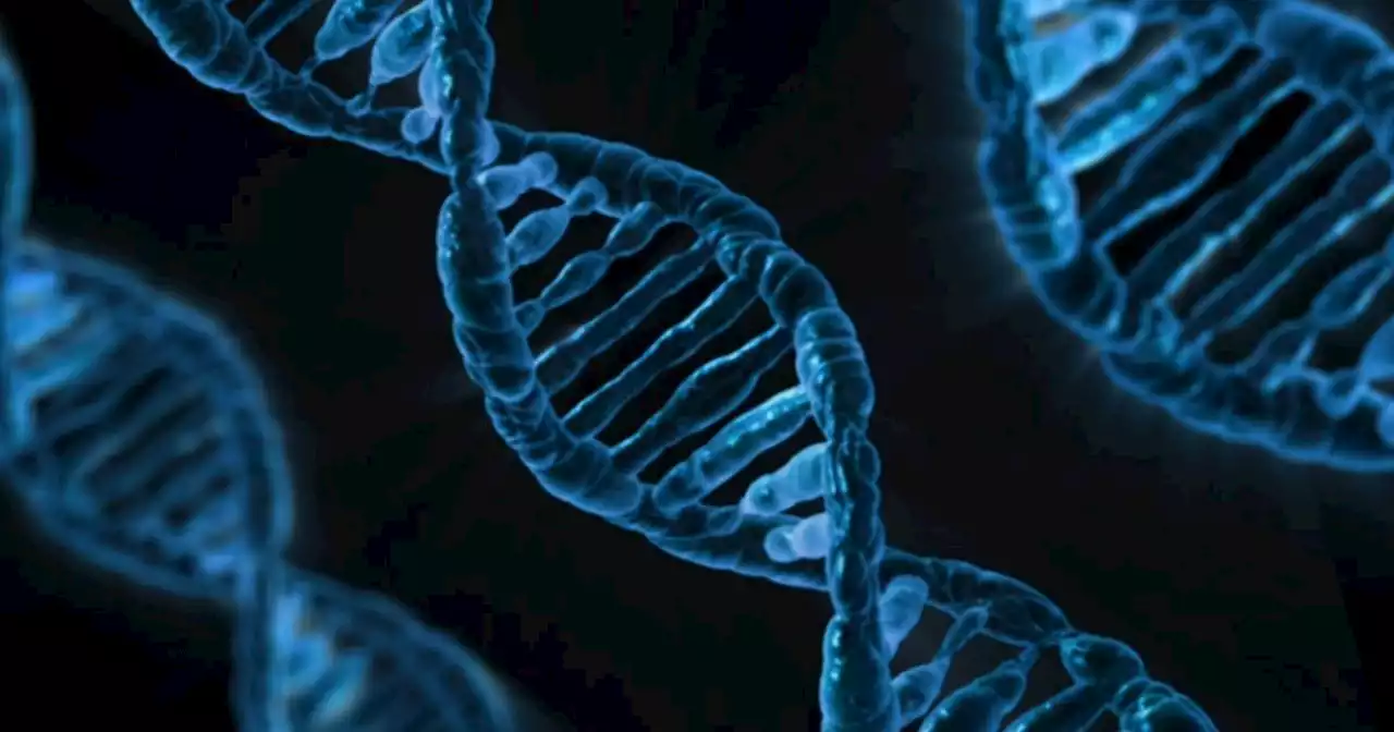 COVID-19 severity could be determined by genes