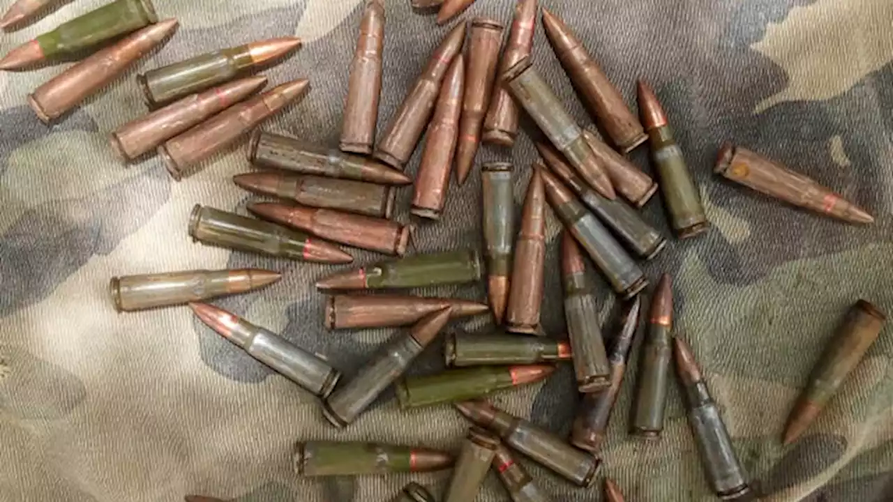 Senegalese customs seize $5m worth of ammunition | The Guardian Nigeria News - Nigeria and World News