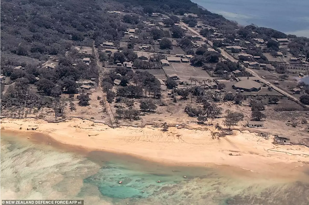 Aid planes unable to land on Tonga with airport covered in ash