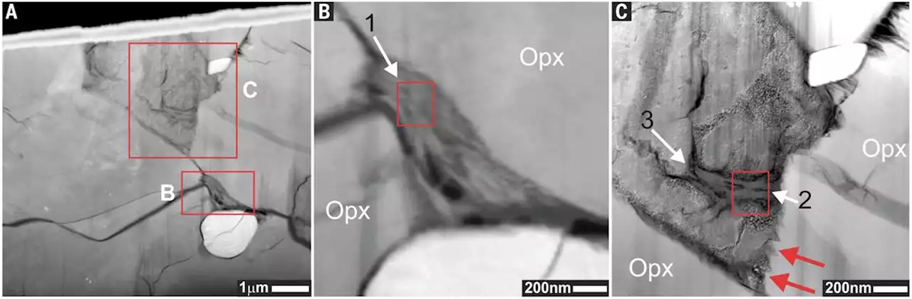 Organic synthesis associated with serpentinization and carbonation on early Mars