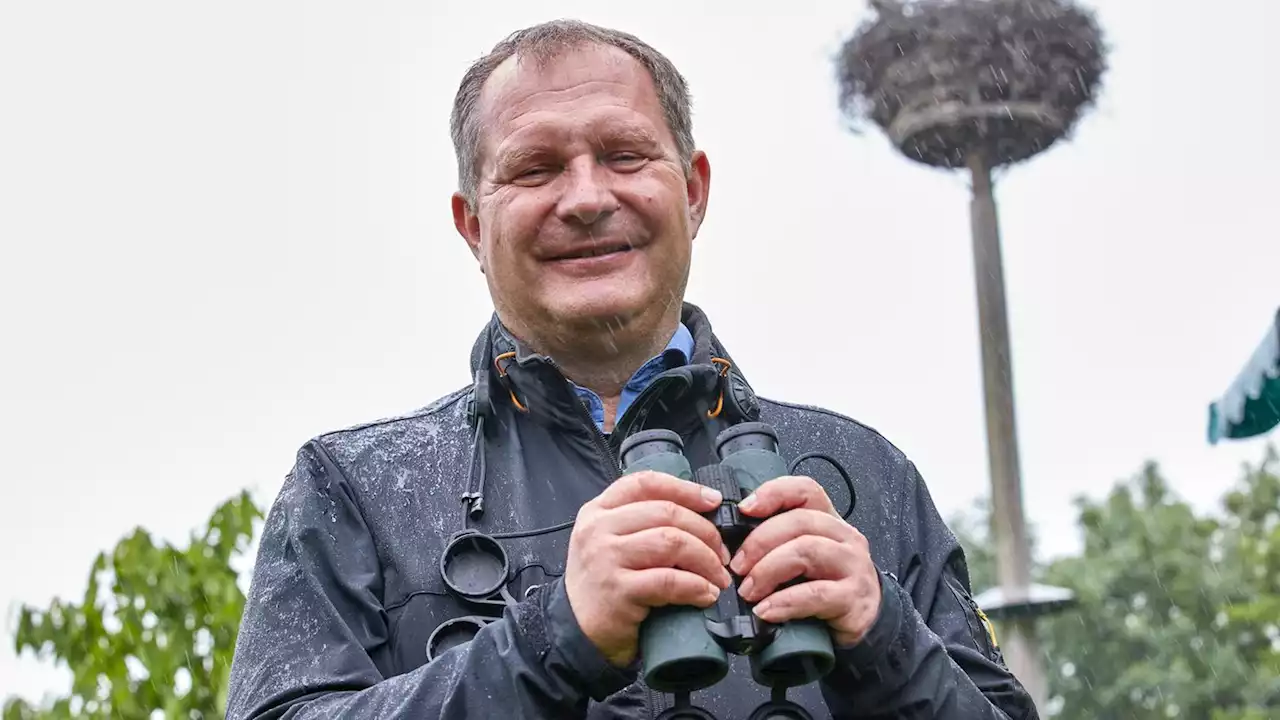 Hamburgs Umweltsenator Jens Kerstan an Krebs erkrankt