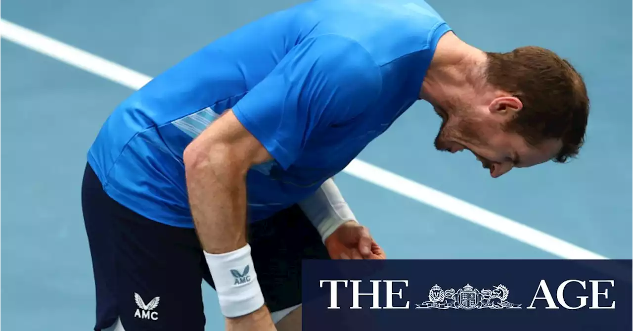 ‘It’s amazing to be back’: Australian Open better for Murray’s second coming