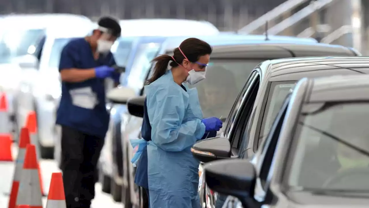 Australia suffers deadliest day of Covid-19 pandemic as Omicron drives up hospital cases
