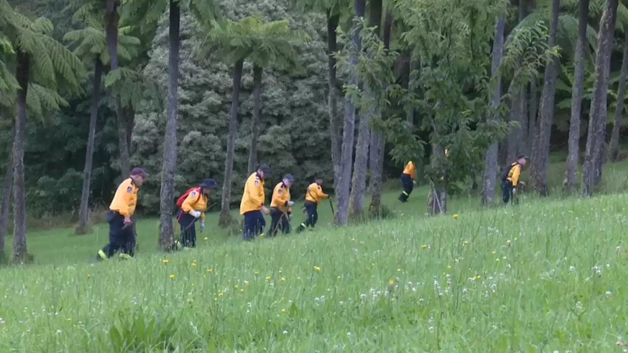 Man charged with murder of girl, 9, who disappeared in the Blue Mountains