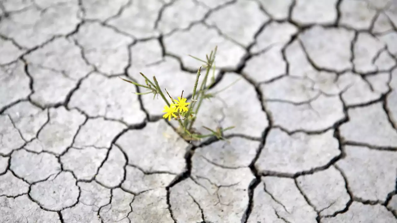 Weltwetterorganisation: 2021 war eines der sieben wärmsten Jahre