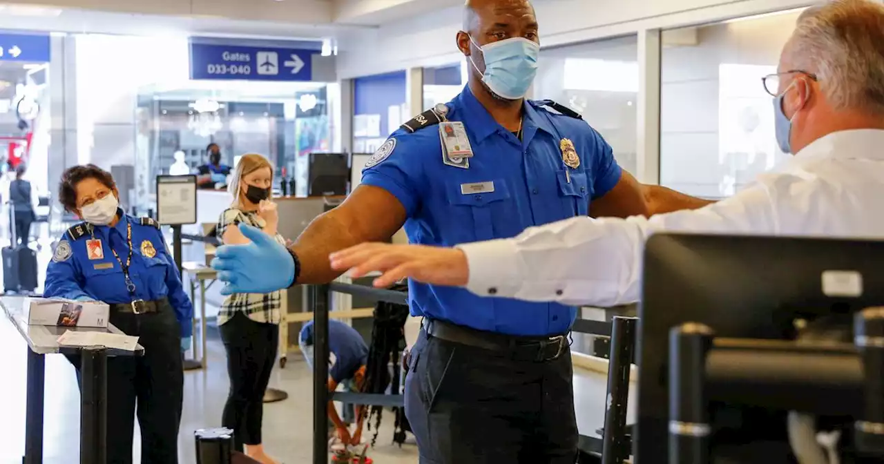 DFW Airport passengers shatter record for packing guns for their trips