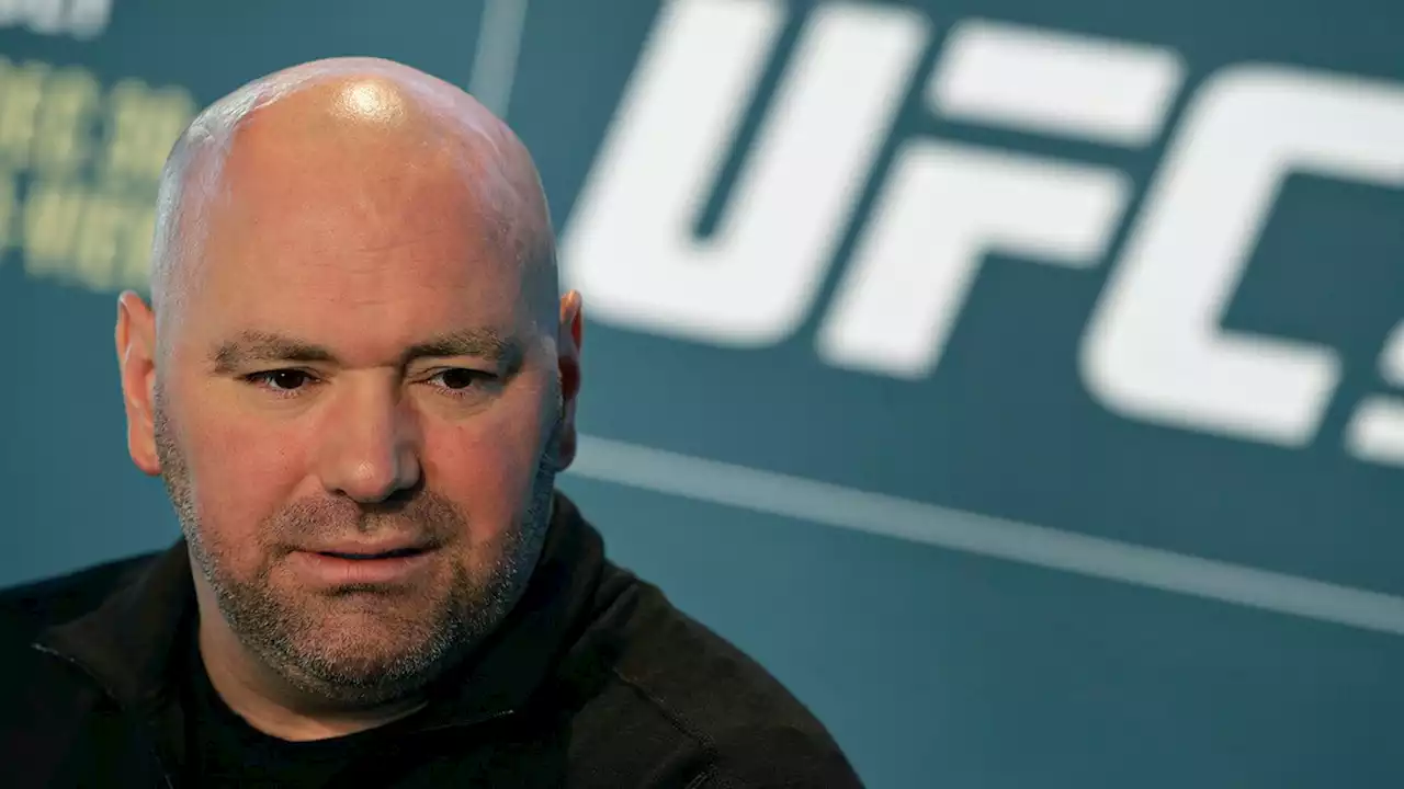 Президент UFC не включил Хабиба в список лучших бойцов - Газета.Ru | Новости