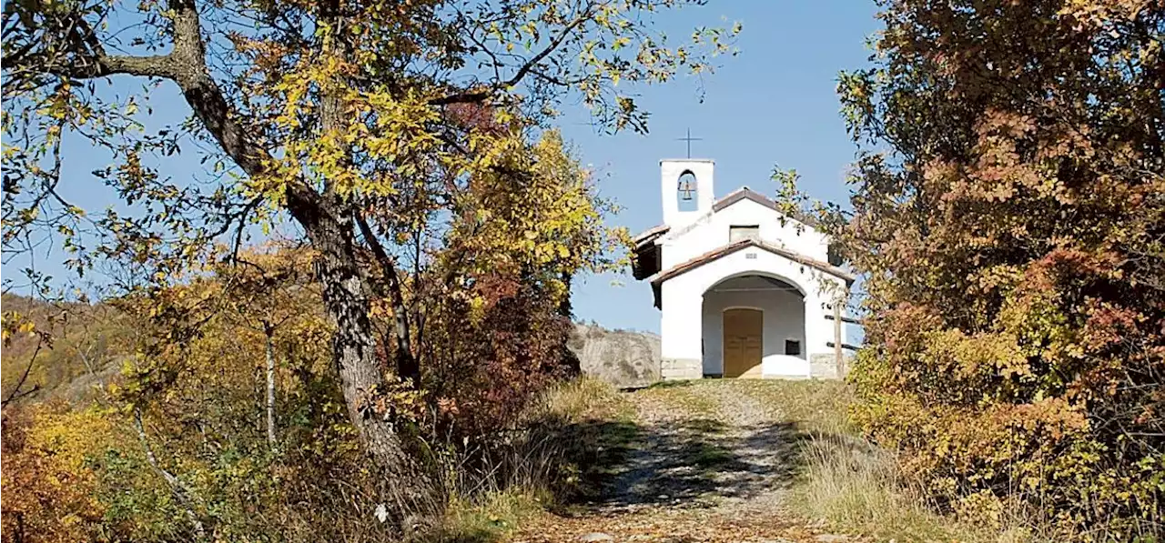 La Val Borbera insorge sull’ordinanza contro la peste suina: “Ennesima tegola sul nostro territorio”