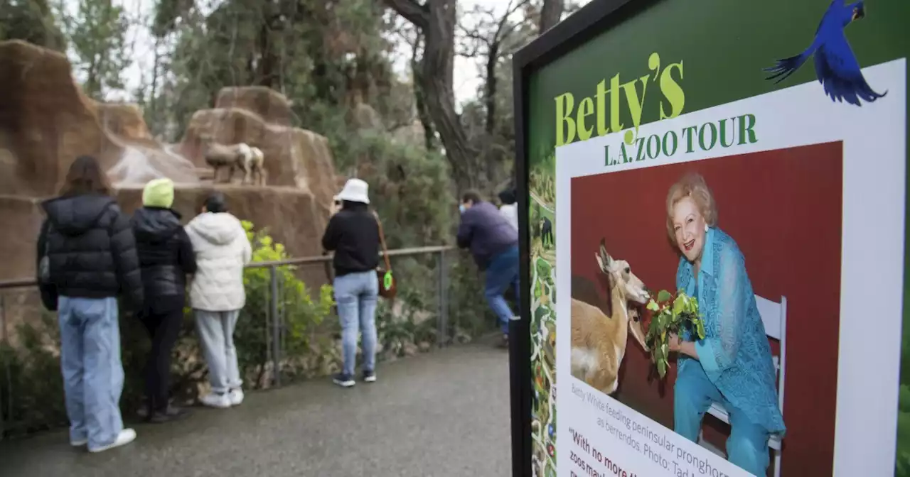 The #BettyWhiteChallenge did the trick: Viral campaign raises $70,000 for L.A. Zoo