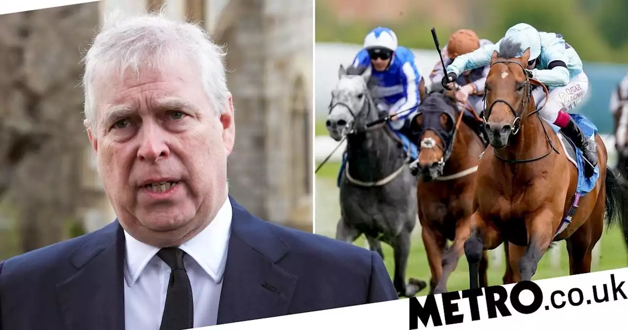 Duke of York horse race to be renamed to avoid Prince Andrew association