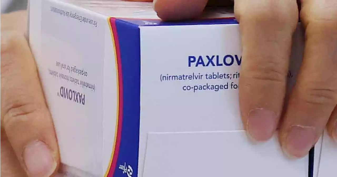 एंटीवायरल पैक्सलोविड ओमिक्रॉन के खिलाफ प्रभावी, 3 लैब स्टडी में हुआ खुलासा, फाइजर ने किया दावा