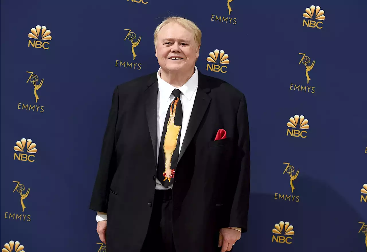 Actor-Comedian Louie Anderson Undergoing Cancer Treatment