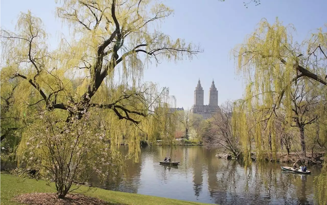 New York&rsquo;s Central Park Becomes a Living Climate Laboratory