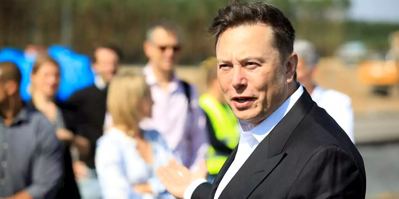 Elon Musk und das Klima: Progressive Kompromisse