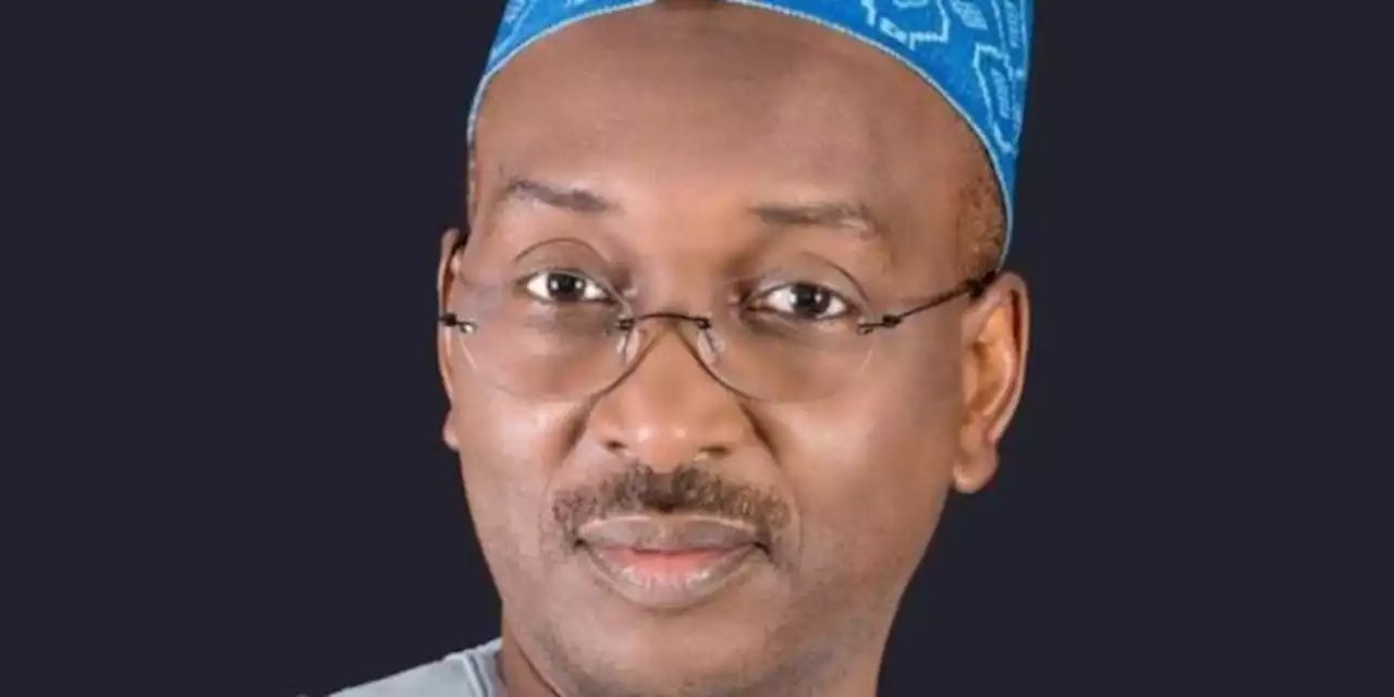 Some APC leaders became hostile over my criticisms, says Salihu Lukman on his resignation | TheCable