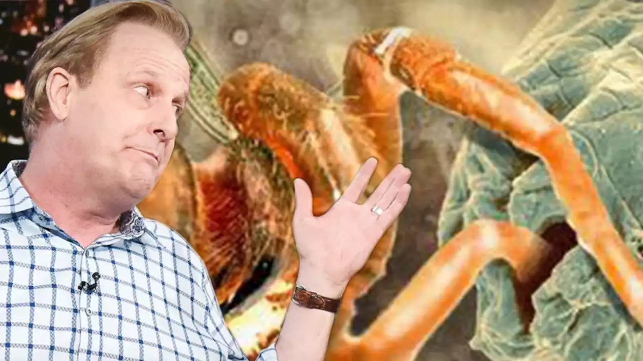 New Tarantula-Killing Worm Named After Jeff Daniels